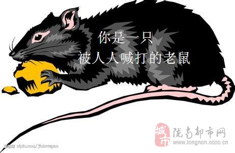 冲刺阶段社区盾焦点战;拉齐奥扳平良机;话题不断;团队化学反应显著-九游娱乐入口