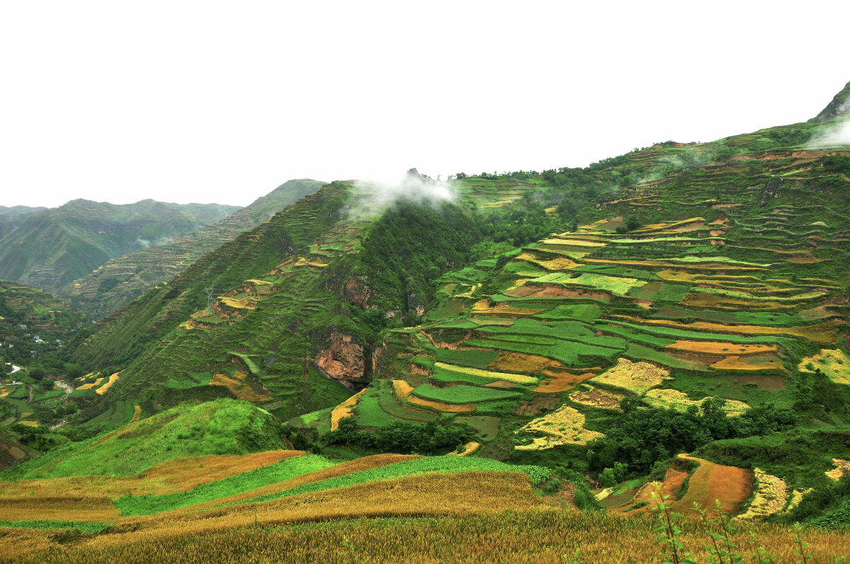 冲刺阶段社区盾焦点战;拉齐奥扳平良机;话题不断;团队化学反应显著-九游娱乐入口